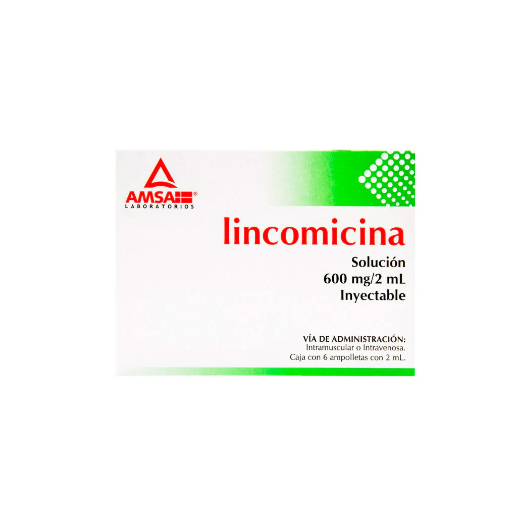 Lincomicina 600mg/2ml Amp